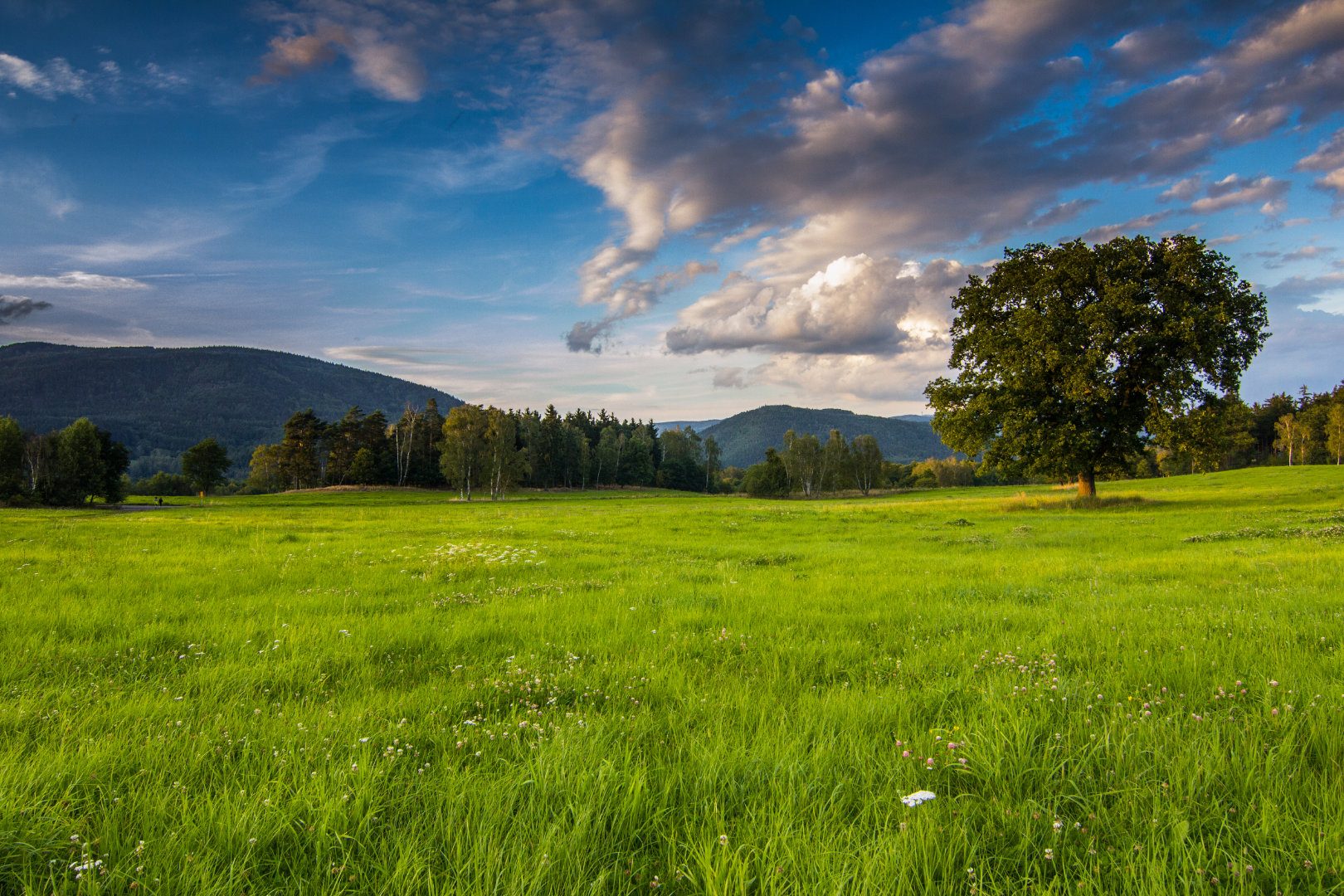 Krajina pod Krušnými horami